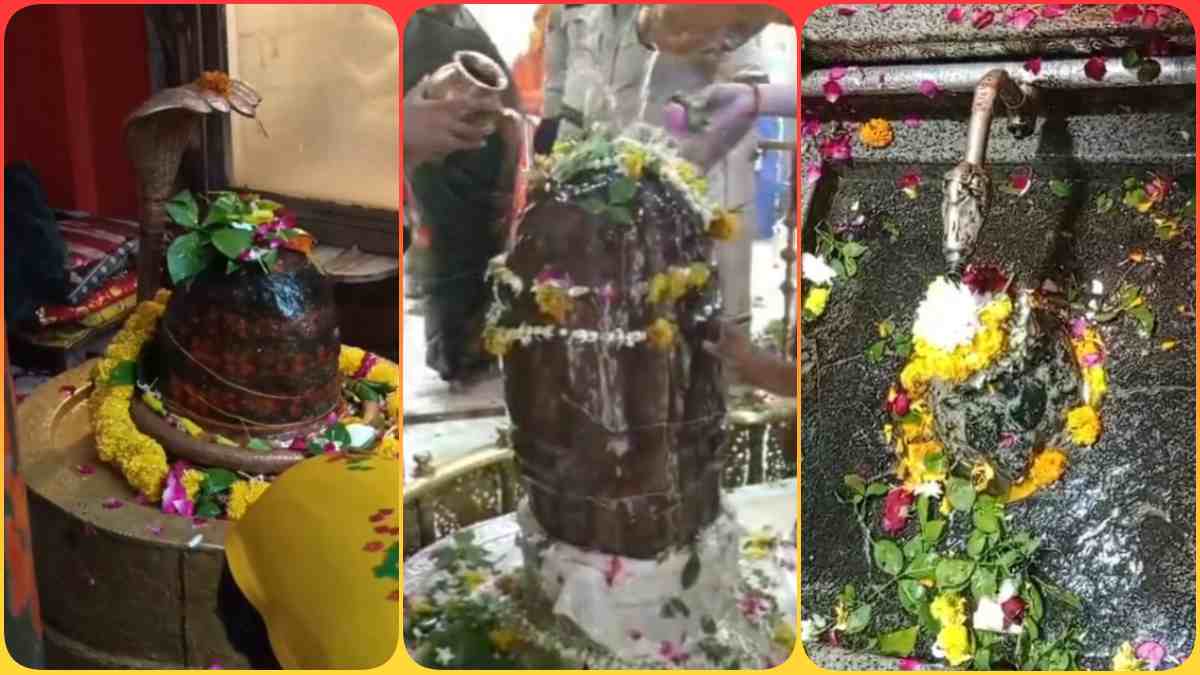 Sawan 2025: अंतिम सोमवार उमड़ा आस्था का सैलाब, ओंकारेश्वर, वनखंडेश्वर और कुण्डेश्वर में बड़ी संख्या में पहुंचे भक्त, एक लोटा जल और दूध चढ़ाकर की पूजा