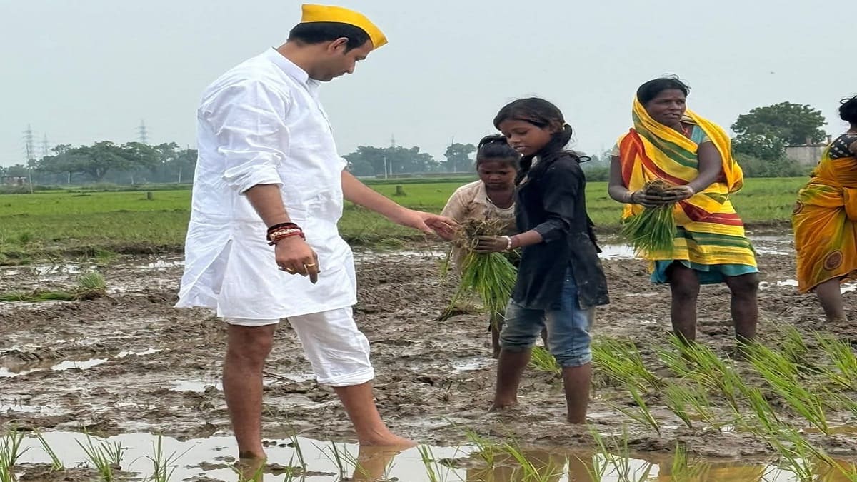 महिलाओं के साथ धान की रोपनी करते दिखे लालू के लाल, लोग बोले, ये चुनाव का मौसम है इसमें सब कुछ करना पड़ता है…