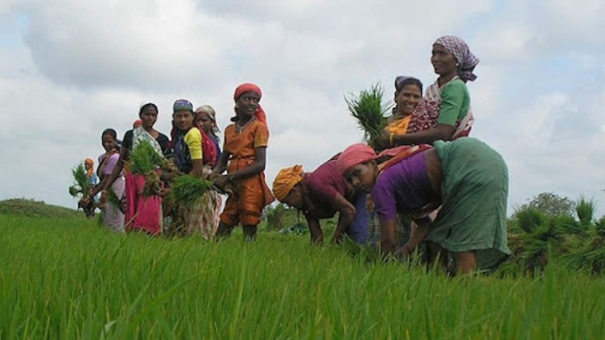 न देरी होगी, न बिचौलियों करेंगे परेशान… अब किसानों के आधार लिंक बैंक खाते में सीधे आएगा धान का पैसा
