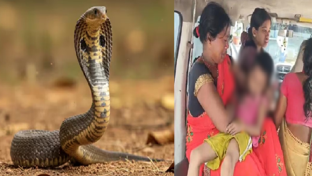 दुखद: सासाराम में दो चचेरी बहनों को जहरीले सांप ने डसा, एक की मौत, दूसरे की हालत गंभीर, अस्पताल में नहीं मिला एंटीवेनम