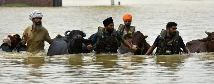 इंसानों के साथ-साथ पशुओं की भी सच्ची रक्षक पंजाब सरकार, एक हफ्ते में 1.75 लाख से ज्यादा पशुओं को ‘गल-घोटू’ से बचाया