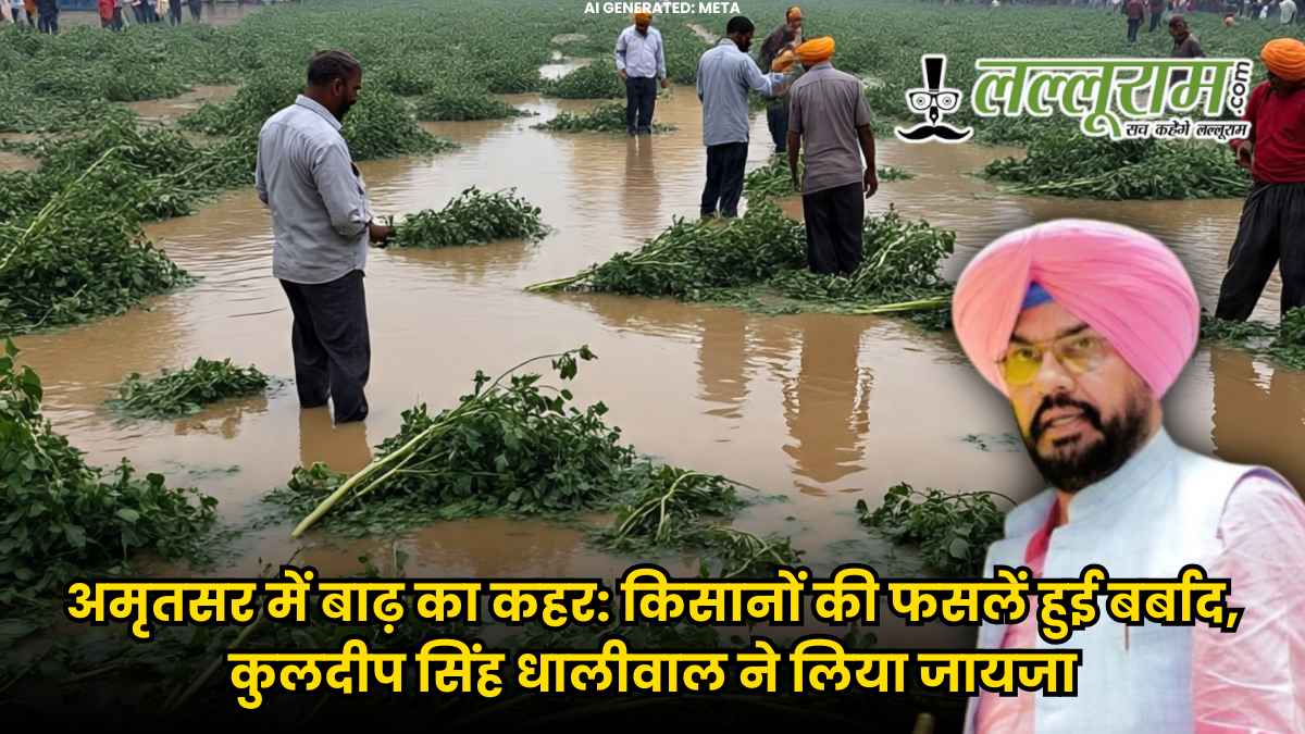 अमृतसर में बाढ़ का कहर: किसानों की फसलें हुई बर्बाद, कुलदीप सिंह धालीवाल ने लिया जायजा
