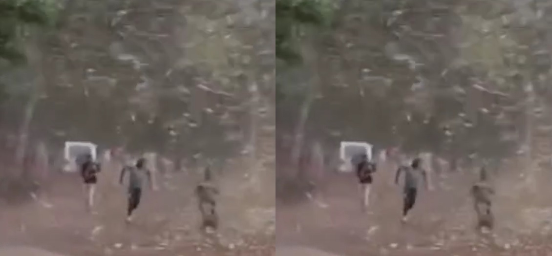 CG News: गरियाबंद में तेज आंधी-तूफान ने मचाई अफरातफरी, डरावना वीडियो आया सामने