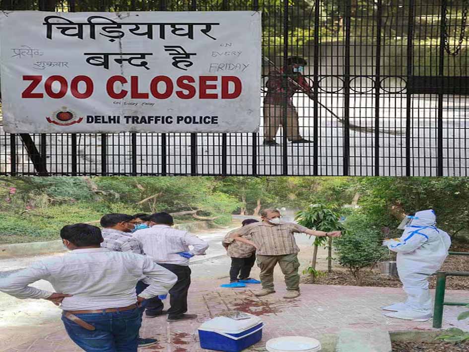 दिल्ली चिड़ियाघर में बर्ड फ्लू का कहर: 12 पक्षियों की मौत, CCTV से जानवरों की निगरानी सुरक्षा के लिए बंद हुआ परिसर