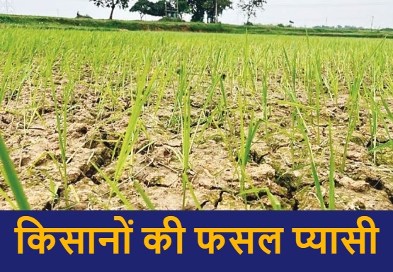 CG News: जलाशय लबालब, नहरें खाली… किसानों की फसल प्यासी