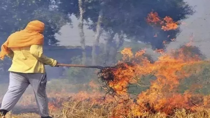 पलारी जलाने वालों की अब खैर नहीं, किसानों को जागरूक करने की जा रही पहल