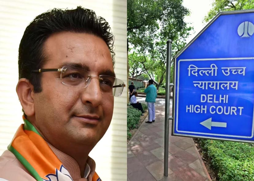 ‘जब आप राजनीति में होते हैं तो आपको ‘मोटी चमड़ी’ की जरूरत..’,सोशल मीडिया विवाद पर दिल्ली हाईकोर्ट पहुंचे BJP नेता