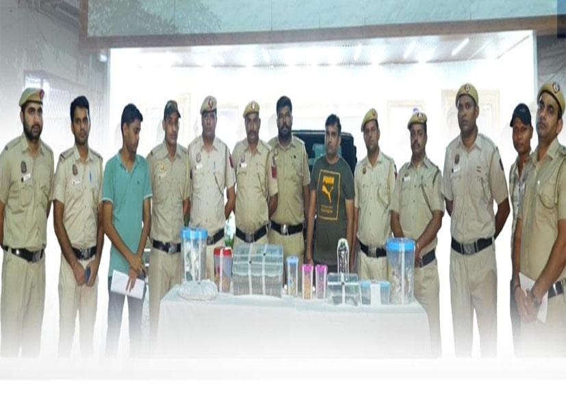 दिल्ली-NCR में गैंगस्टरों पर अब तक का सबसे बड़ा ऑपरेशन, 58 ठिकानों पर छापेमारी, 6 कुख्यात गैंगस्टरों को गिरफ्तार