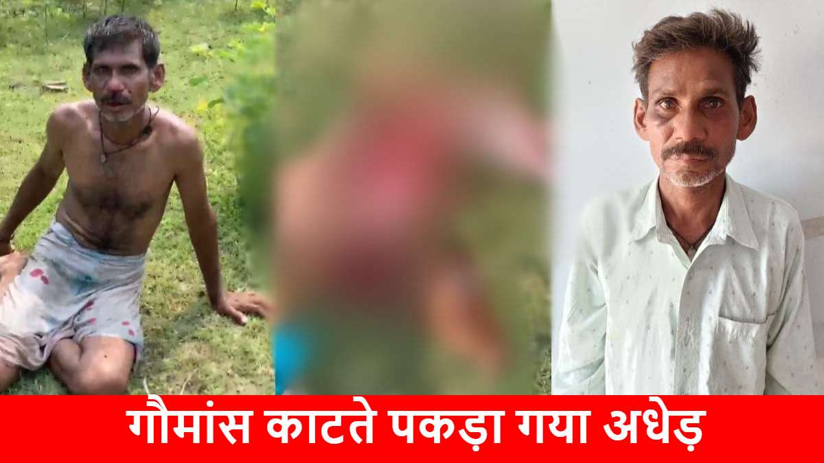 CG NEWS: गौवंश काटते पकड़ा गया अधेड़, भीड़ ने की जमकर पिटाई, पुलिस ने किया गिरफ्तार..