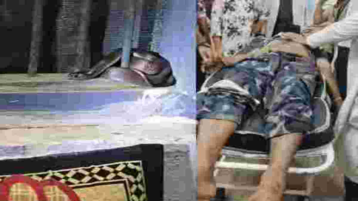 बड़ी खबरः सांप के काटने से आरक्षक की मौत, इंदौर घोड़े के अस्तबल में सांप पकड़ने गए थे, तभी डसा