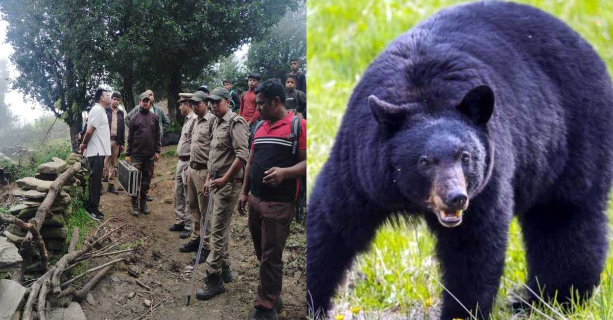 कब थमेगा आदमखोर का आतंक! भालू के डर में जी रहे कई गांव के लोग, पकड़ने के लिए उतरीं 17 विशेषज्ञों की 4 टीमें