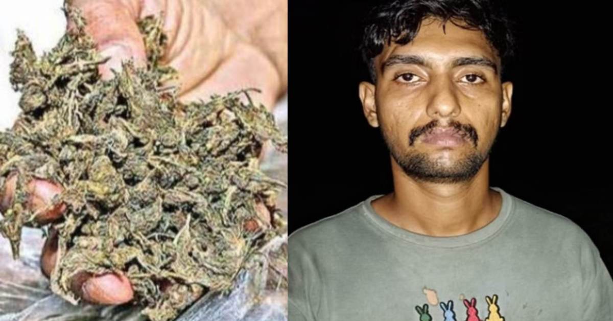 नशे के खिलाफ खाकी का शिकंजाः डेढ़ करोड़ के गांजा के साथ धराया अंतरराज्यीय गिरोह का तस्कर, जानिए शातिर कैसे चढ़ा पुलिस के हत्थे…