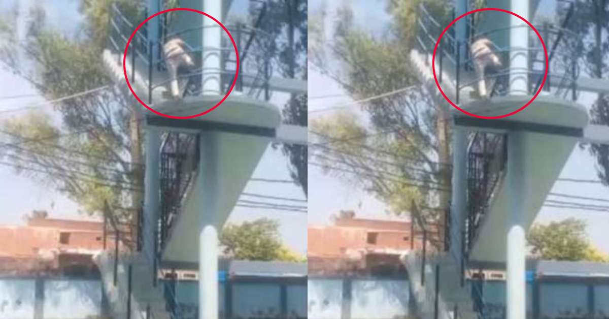 ‘बसंती’ के लिए टंकी पर चढ़ा ‘वीरू’: प्रेमिका के लिए मौत के मुंह में जाकर खड़ा हो गया युवक, ये है हाईवोल्टेज ड्रामे के पीछे की वजह