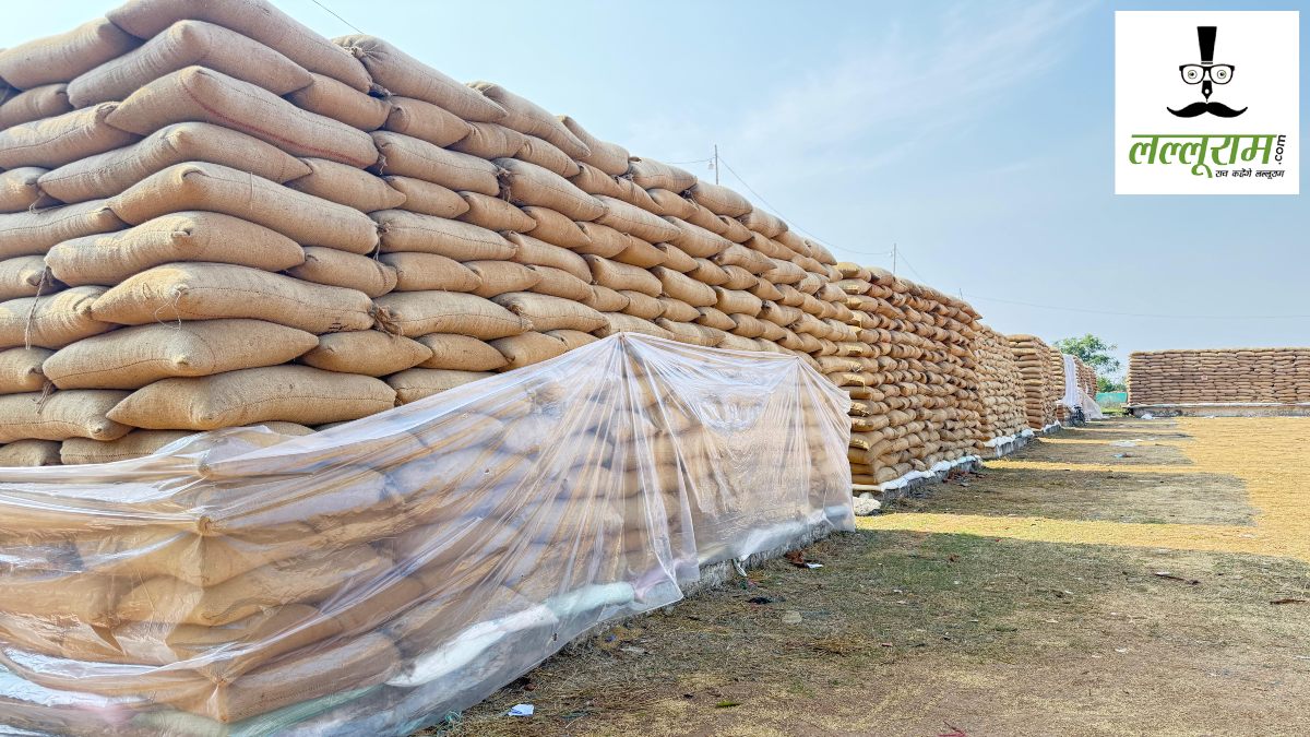 CG News : किसान के नाम से दूसरे बैंक से निकाल लिए 7.91 लाख रुपए, समिति के कंप्यूटर ऑपरेटर पर बर्खास्तगी की कार्रवाई