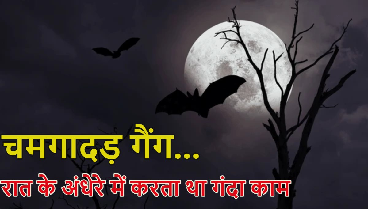 चमगादड़ गैंग: दिन में गुब्बारे बेचते और रात में चड्डी-बनियान में करते थे गंदा काम, 3 गिरफ्तार, 4 फरार