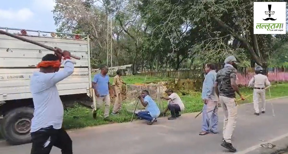 उत्पाती बंदरों से मिलेगी राहत : गुरु घासीदास पार्क में अब तक 35 बंदर किए गए शिफ्ट, वन विभाग ने चलाया अभियान