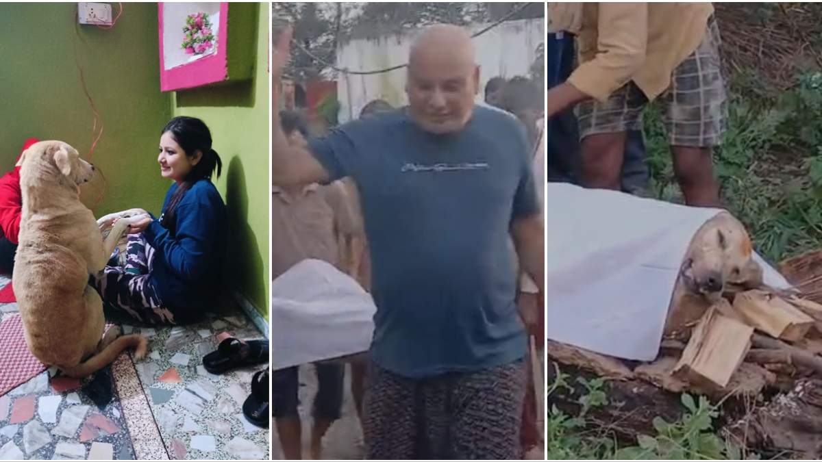 कुत्ते का विधि विधान से अंतिम संस्कार: ‘तिलकधारी’ का प्रयागराज में होगा अस्थि विसर्जन, तेरहवीं पर परिवार कराएगा भंडारा 