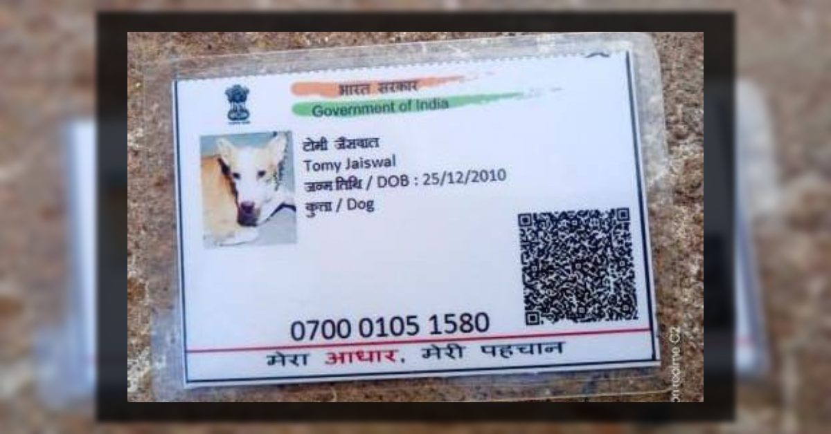 नाम टोमी, उम्र 9 साल, एड्रेस भी ? कुत्ते का आधार कार्ड देख आप भी रह जाएंगे हैरान…