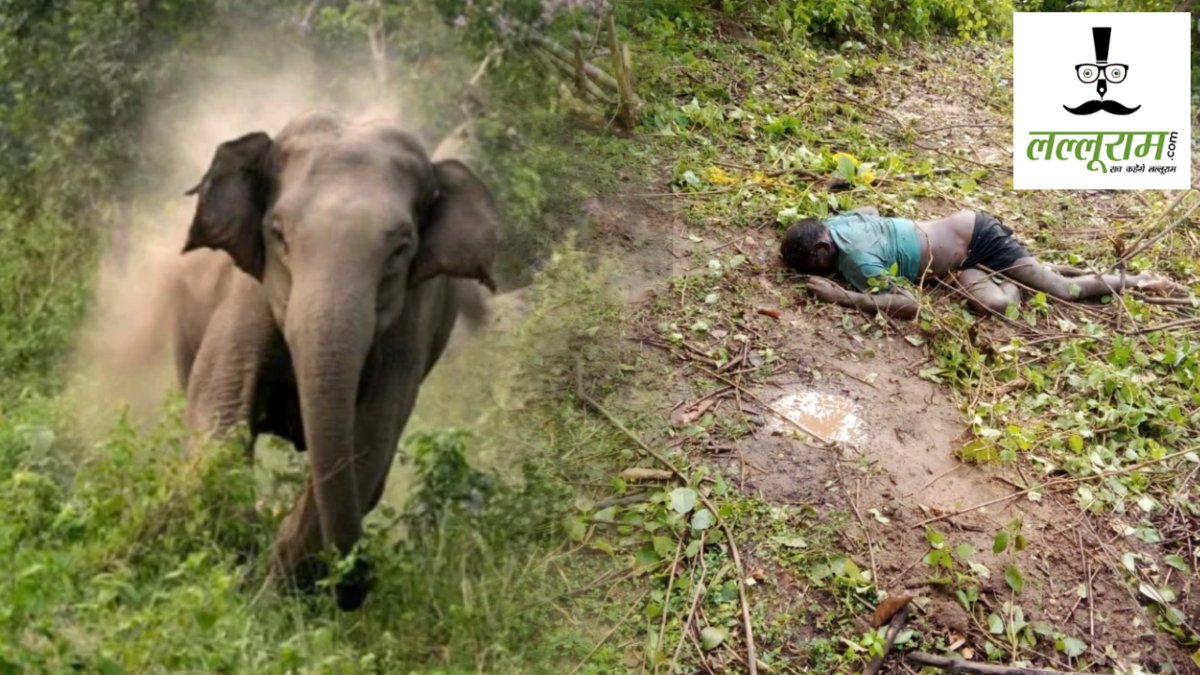 CG News : खेत से लौट रहे ग्रामीण को हाथी ने सूंड से उठाकर पटका, मौके पर ही हुई मौत
