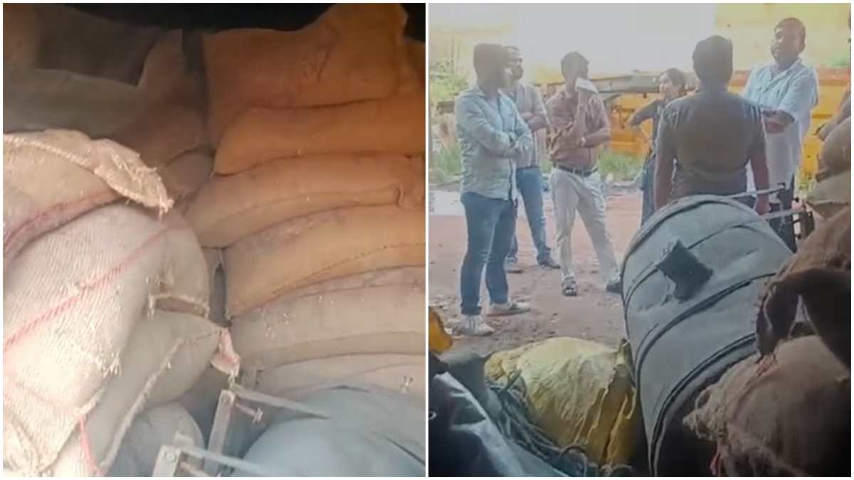 PDS गेहूं की कालाबाजारी पर बड़ी कार्रवाई: प्रशासन की टीम ने गोदाम में मारा छापा, गरीबों को बंटने आया 860 बोरियों में भरा 435.17 क्विंटल गेहूं जब्त   