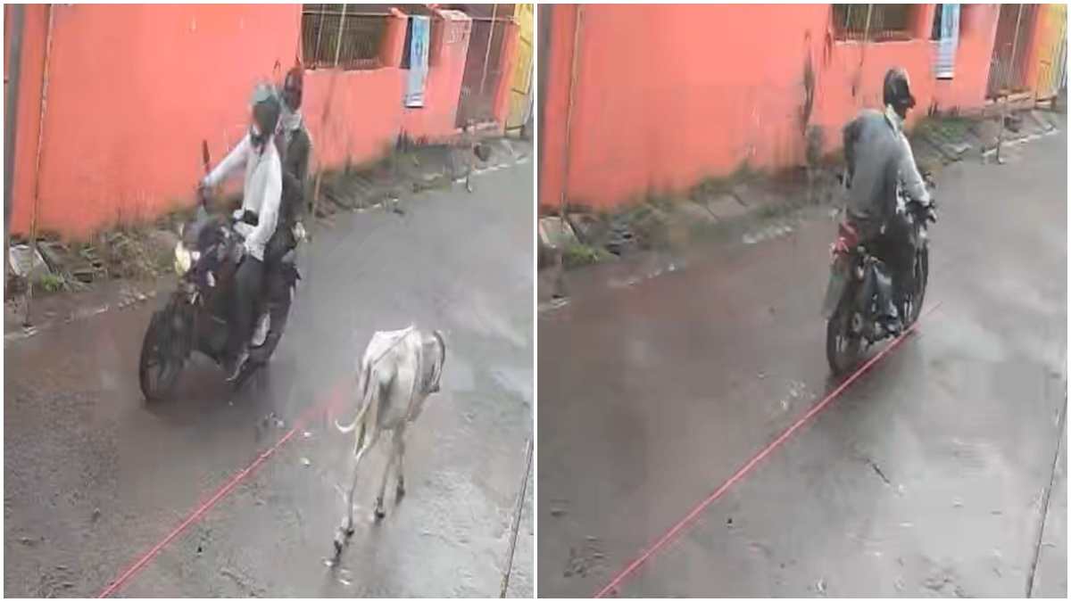 भाजपा मंडल अध्यक्ष की मां के साथ चेन स्नेचिंग, बाइक सवार बदमाशों ने दिया वारदात को अंजाम, घटना सीसीटीवी में कैद 