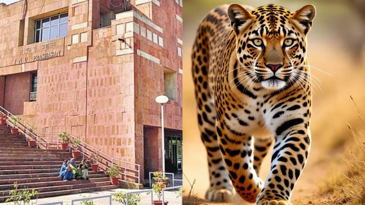 JNU: जवाहरलाल नेहरू विश्वविद्यालय में तेंदुआ दिखा; छात्रों के बीच मचा हड़कंप, विवि प्रशासन ने जारी किया अलर्ट