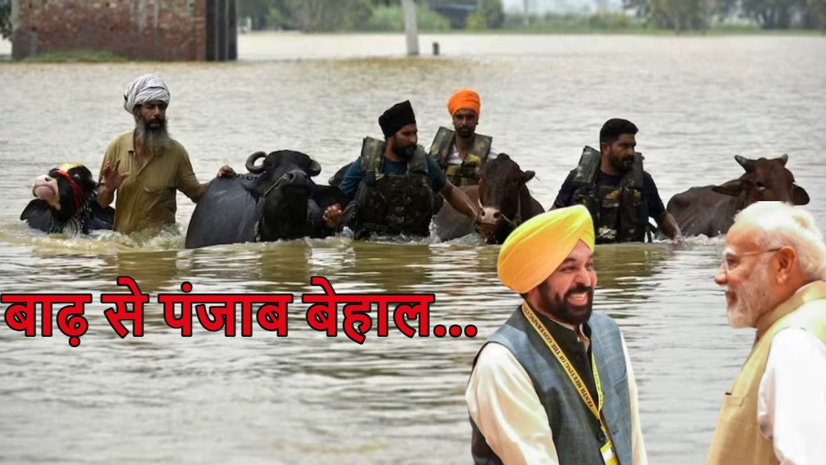 चीन से भारत लौटते ही पीएम मोदी ने सबसे पहले पंजाब सीएम भगवंत मान को लगाया फोन, जानें बाढ़ से डूबते पंजाब को क्या दिया भरोसा