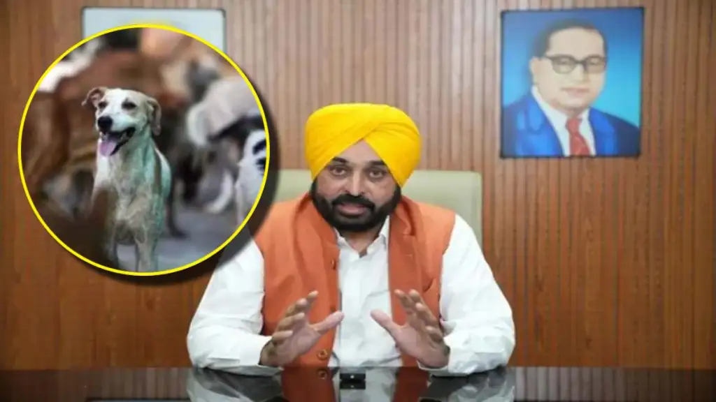 पंजाब में बाढ़ के बाद भगवंत मान सरकार का राहत अभियान, जानवरों को बचाने के लिए विशेष मुहिम शुरू