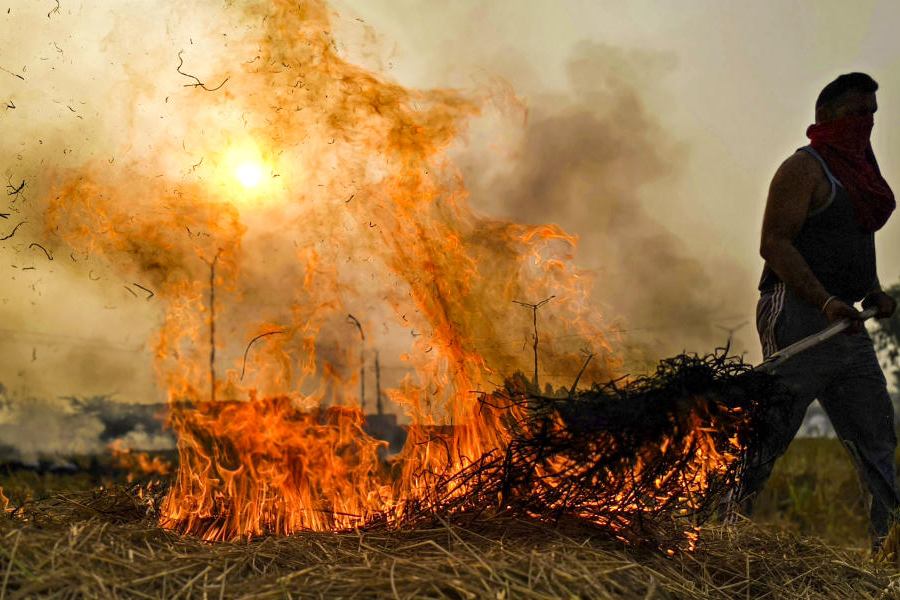Punjab stubble burning : पराली को लेकर केंद्र हुआ सख्त, किया सतर्क
