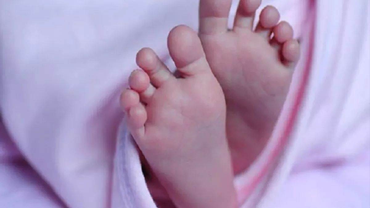 Rajasthan News: हे भगवान! ऐसी निर्ममता… मुंह में पत्थर ठुंसकर नवजात को जंगल में फेंका, मुंह में फेवीक्विक भी लगाया