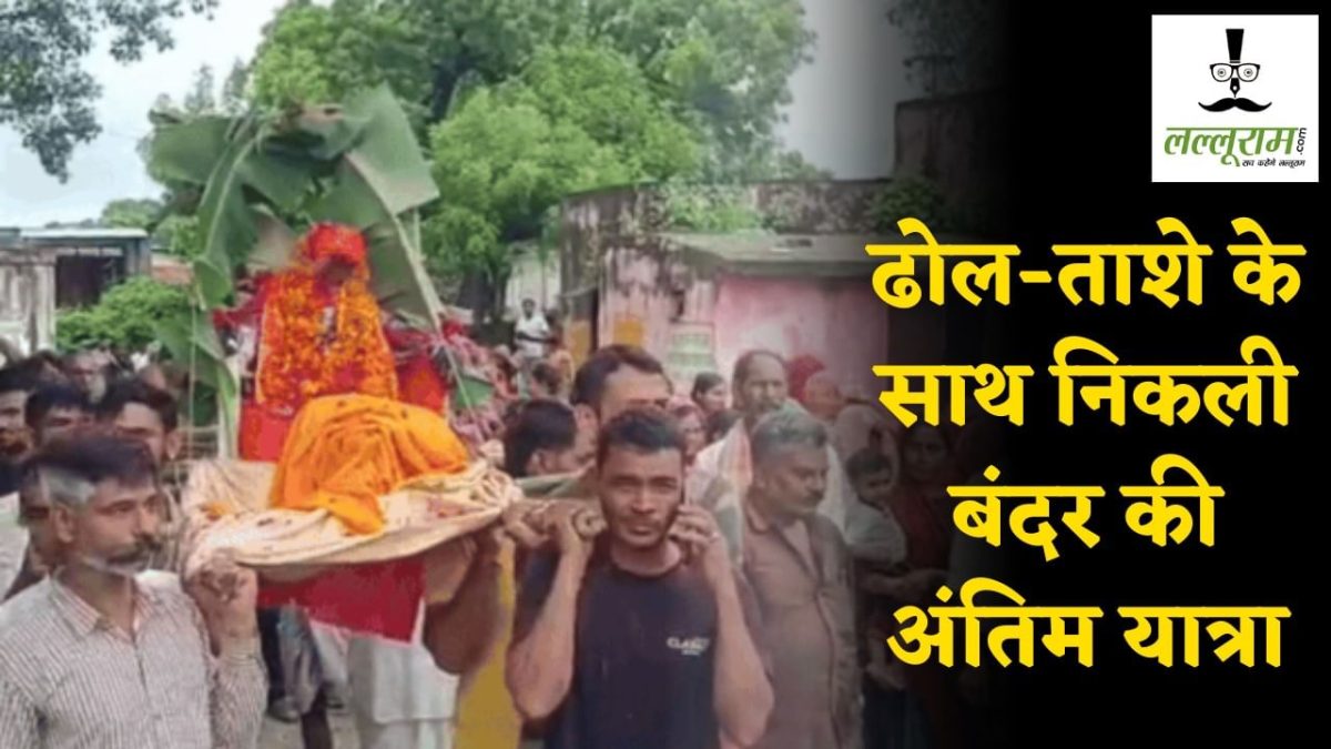 Rajasthan News : बंदर की मौत के बाद ढोल-ताशे के साथ निकाली गई अंतिम यात्रा, ग्रामीणों ने करवाया मुंडन, रीति-रिवाजों के साथ किया अस्थि विसर्जन