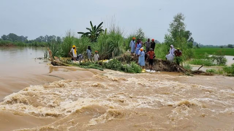 Punjab floods 2025 : बाढ़ के बीच बड़ी मुसीबत… सतलुज नदी का बांध टूटा, इस गांव के लोग आए दहशत में