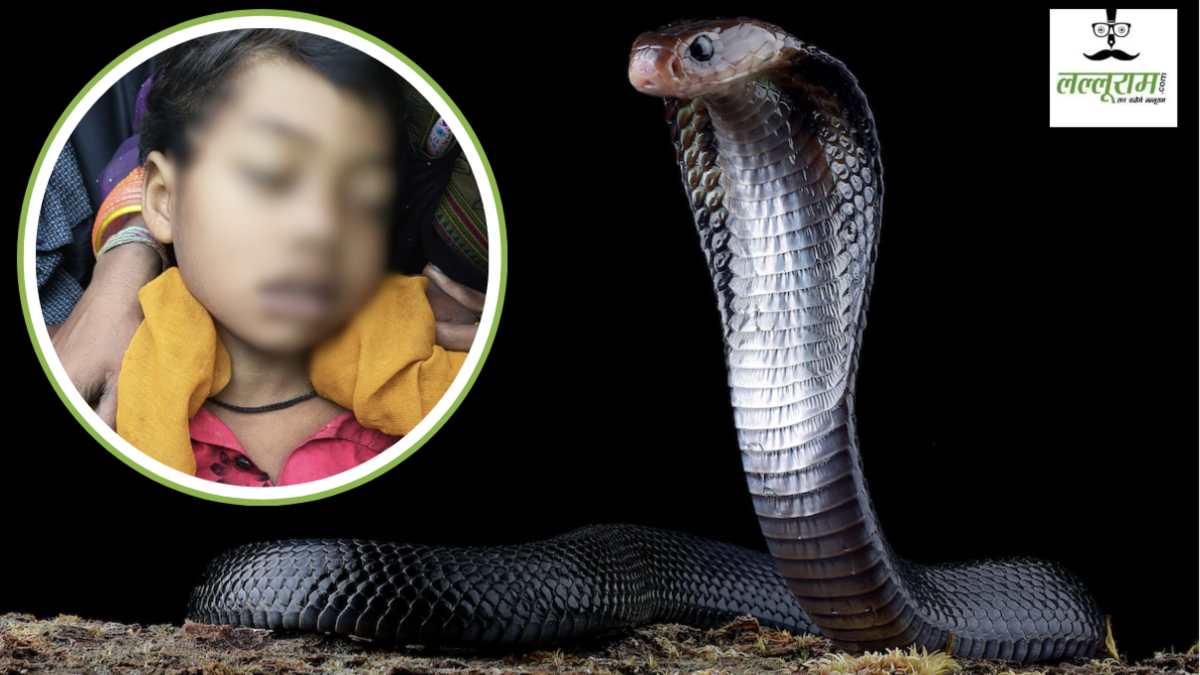 पांच साल के मासूम की सर्पदंश से मौत: नानी के घर आया था बच्चा, सांप ने एक पल में छीन ली जिंदगी 