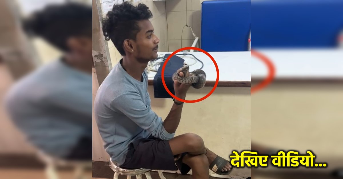 इसी ने मुझे डसा है… जहरीले सांप ने काटा, हाथ में जिंदा पकड़कर अस्पताल पहुंचा युवक, घंटों लेकर बैठे रहा, मचा हड़कंप