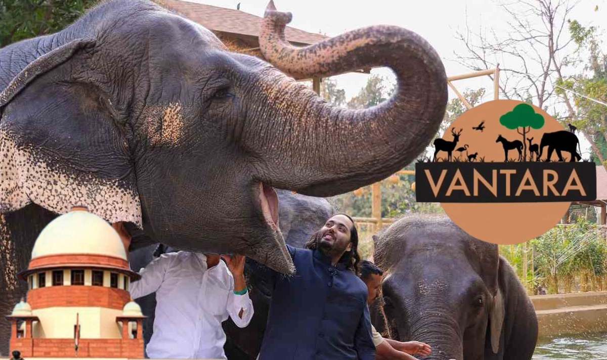 सुप्रीम कोर्ट ने वनतारा को क्लीनचिट दी; कहा- शिकार की मंजूरी देने वाले उठा रहे आपत्तियां, हथिनी की शिफ्टिंग से शुरू हुआ था विवाद