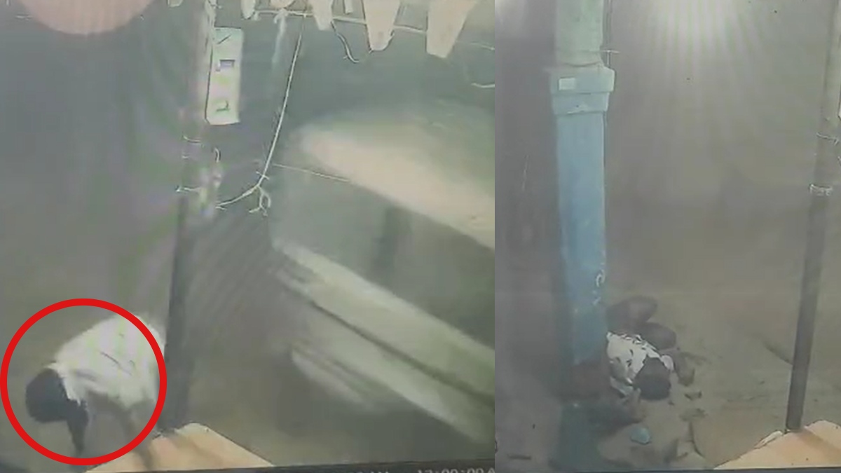 CG Crime News : मूंगफली खाने को लेकर हुआ विवाद,  रिश्तेदार ने बोलेरो से पिता-पुत्र को रौंदा, मौके पर मौत, देखें VIDEO…