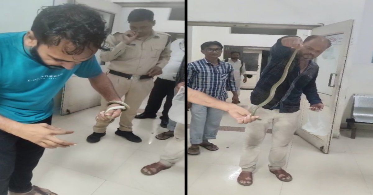सांप को लेकर अस्पताल पहुंचा युवक, डॉक्टरों में मचा हड़कंप, जानिए पूरा माजरा…