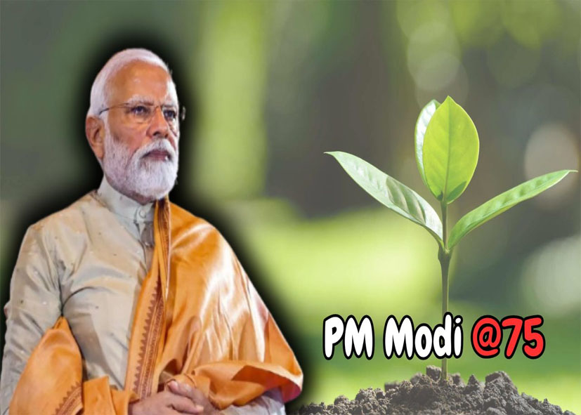 Modi@75: प्रधानमंत्री नरेंद्र मोदी का 75वां जन्मदिन: देश-विदेश से मिली बधाइयां, राष्ट्रपति मुर्मू, अमित शाह, शरद पवार, राहुल गांधी समेत कई नेताओं ने दी शुभकामनाएं, भाजपा कार्यकर्ताओं ने मनाया जश्न