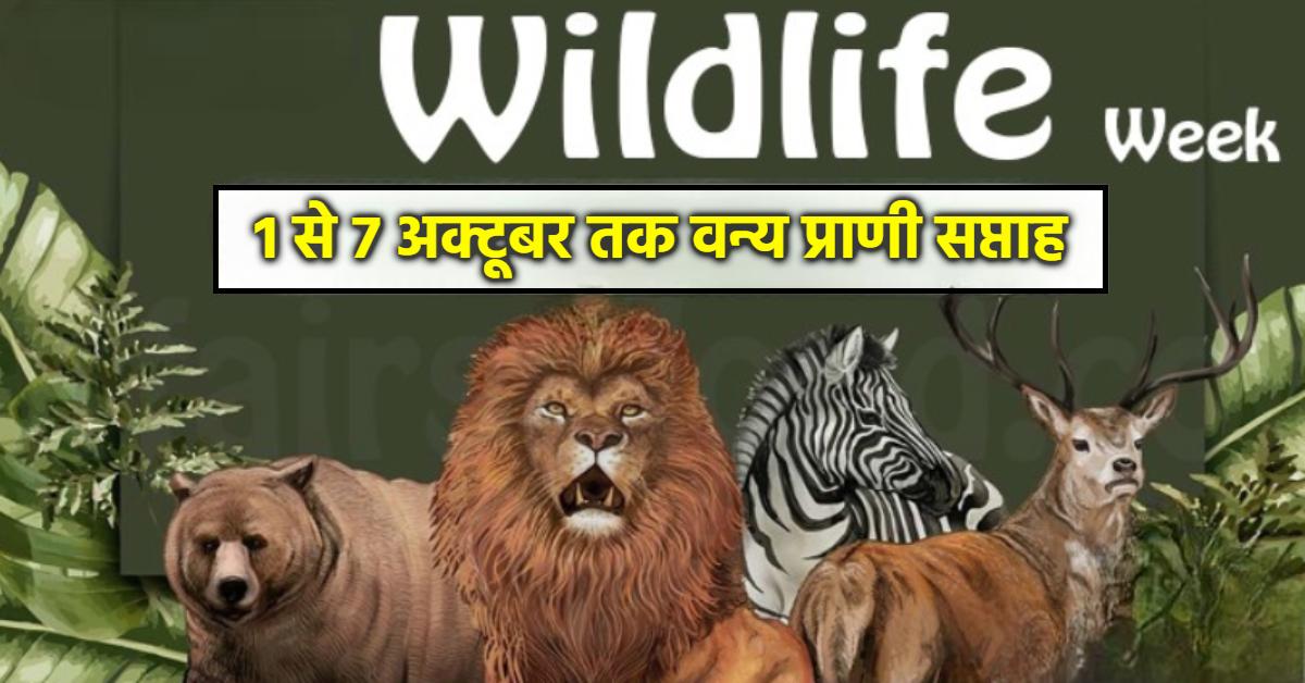 एक से सात अक्टूबर तक वन्य-प्राणी सप्ताह: वन विहार राष्ट्रीय उद्यान में होगी कई प्रतियोगिताएं, भाग लेने के लिए 27 सितंबर तक कर सकते हैं रजिस्ट्रेशन