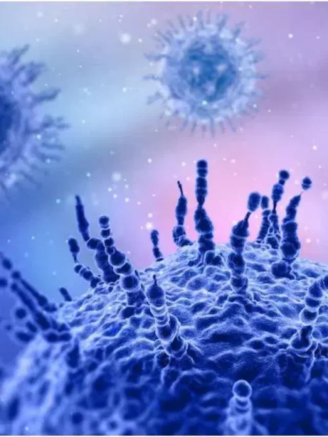 H3N2 Flu Prevention: दिल्ली में तेजी से फैल रहा H3N2 वायरस, जान लीजिए लक्षण