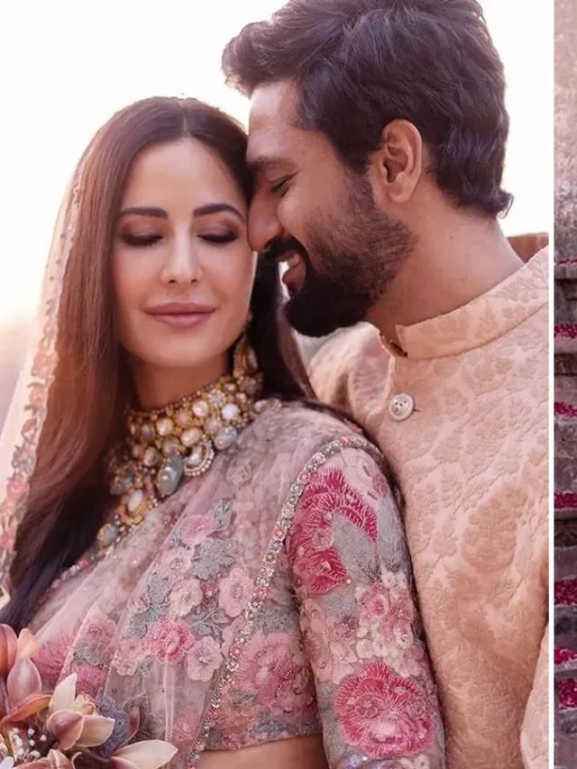 Katrina Kaif Pregnancy: विक्की कौशल के घर जल्द गूंजेगी किलकारियां, प्रेग्नेंट हैं कैटरीना कैफ