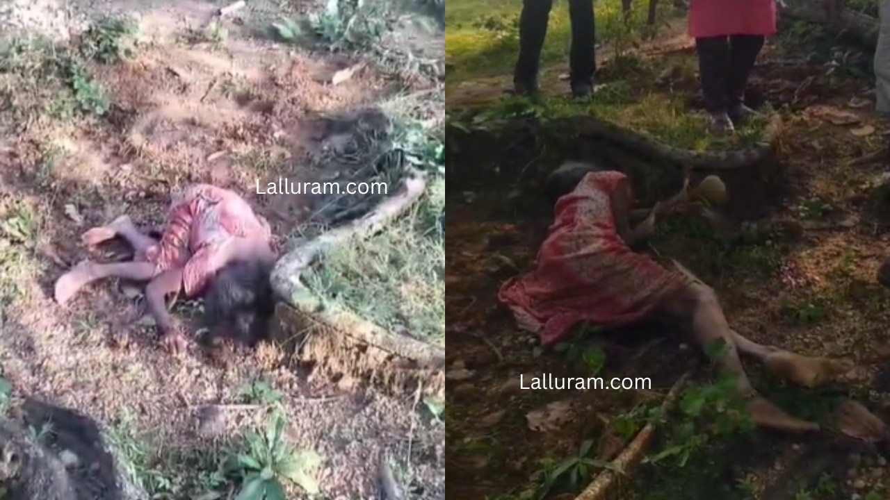 CG News : मशरूम बिनने गई महिला पर हाथी ने किया हमला, इलाज के दौरान हुई मौत