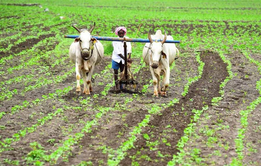 महाराष्ट्र : नांदेड के आपदा प्रभावित किसानों को मिलेगा 100% मुआवजा, कल से खाते में भेजी जाएगी राशि ; 8 लाख किसानों को मिलेगा फायदा