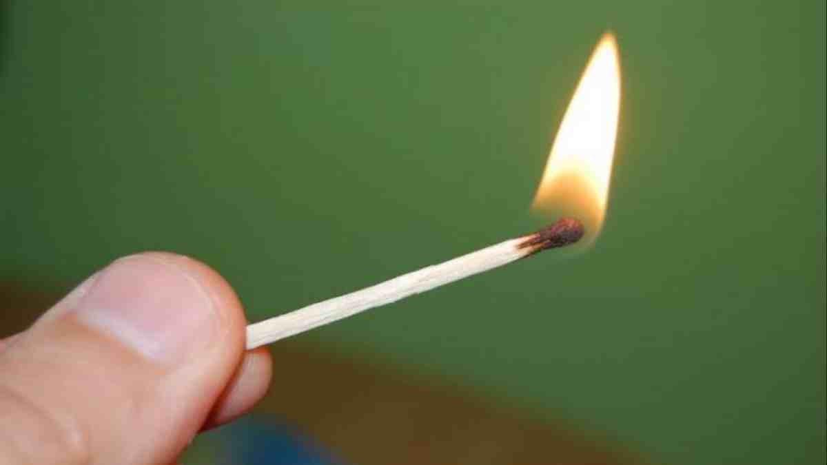 मां को जलाकर मारने वाली बेटी को उम्र कैद: 5 साल पहले बच्चों की वजह से हाईकोर्ट ने दी थी जमानत, इस वजह से लगाई थी आग