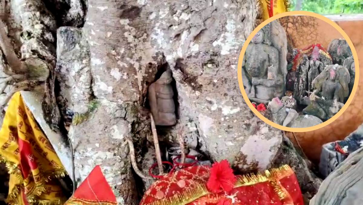 EXCLUSIVE: एमपी का चमत्कारिक पेड़, हर साल जड़ से निकलती हैं अलग-अलग मूर्तियां, जानिए क्या है इतिहास