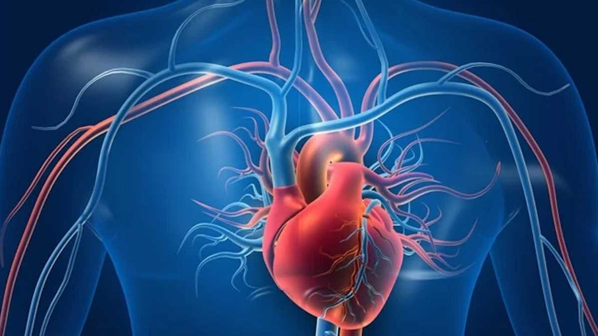 lifestyle: खाना खाने के तुरंत बाद लेटने, बैठने की आपकी भी है आदत? तो अभी सुधार लें…
