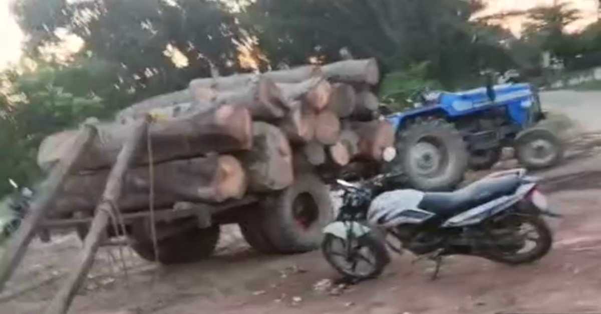 वाह रे UP की सुशासन सरकार ! एक तरफ पेड़ लगाकर पर्यावरण को बचाने चला रहे हरित अभियान, दूसरी ओर धड़ल्ले से हो रही अवैध कटाई, ये दोहरा रवैया क्यों?