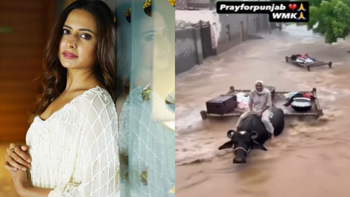Sargun Mehta ने की पंजाब के लोगों की मदद करने की अपील, वीडियो शेयर कर दिखाए वहां के हालात …