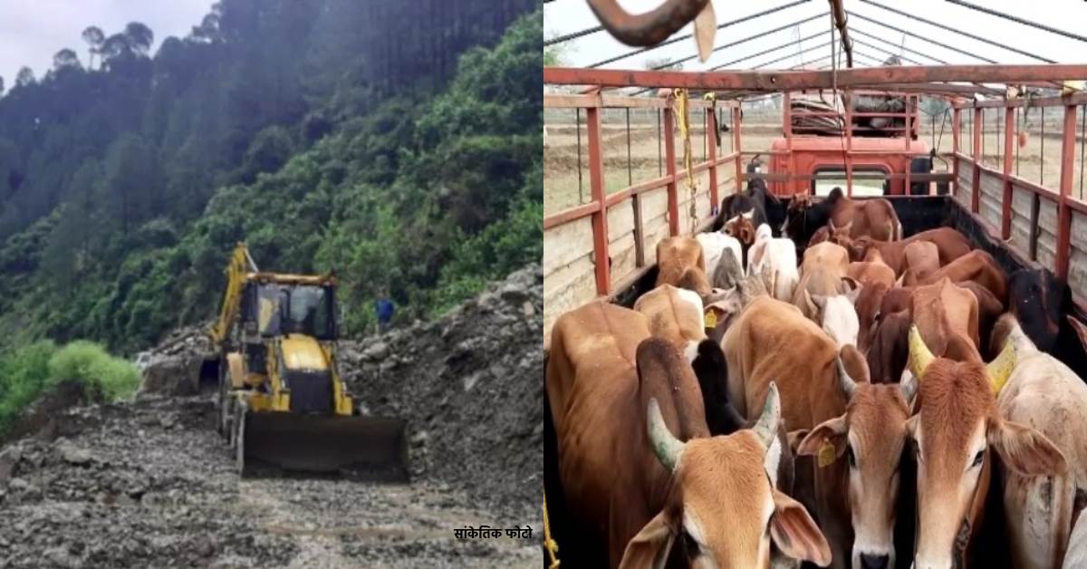 15 दिन में दुरुस्त किया जाएगा चारधाम यात्रा मार्ग, गौ-तस्करों के आने वाले हैं बुरे दिन, सीएम ने दिए ये निर्देश
