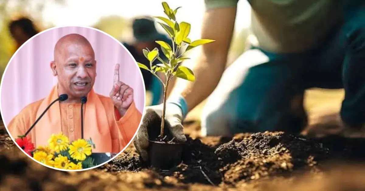 सेवा पर्व से बचेगा पर्यावरण! 16 दिन में 15 लाख पौधे लगाएगी योगी सरकार, सर्वाधिक लक्ष्य वाले राज्यों की लिस्ट में UP का दूसरा नंबर